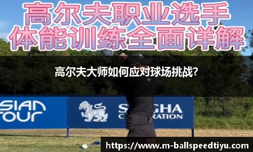 球速体育官网